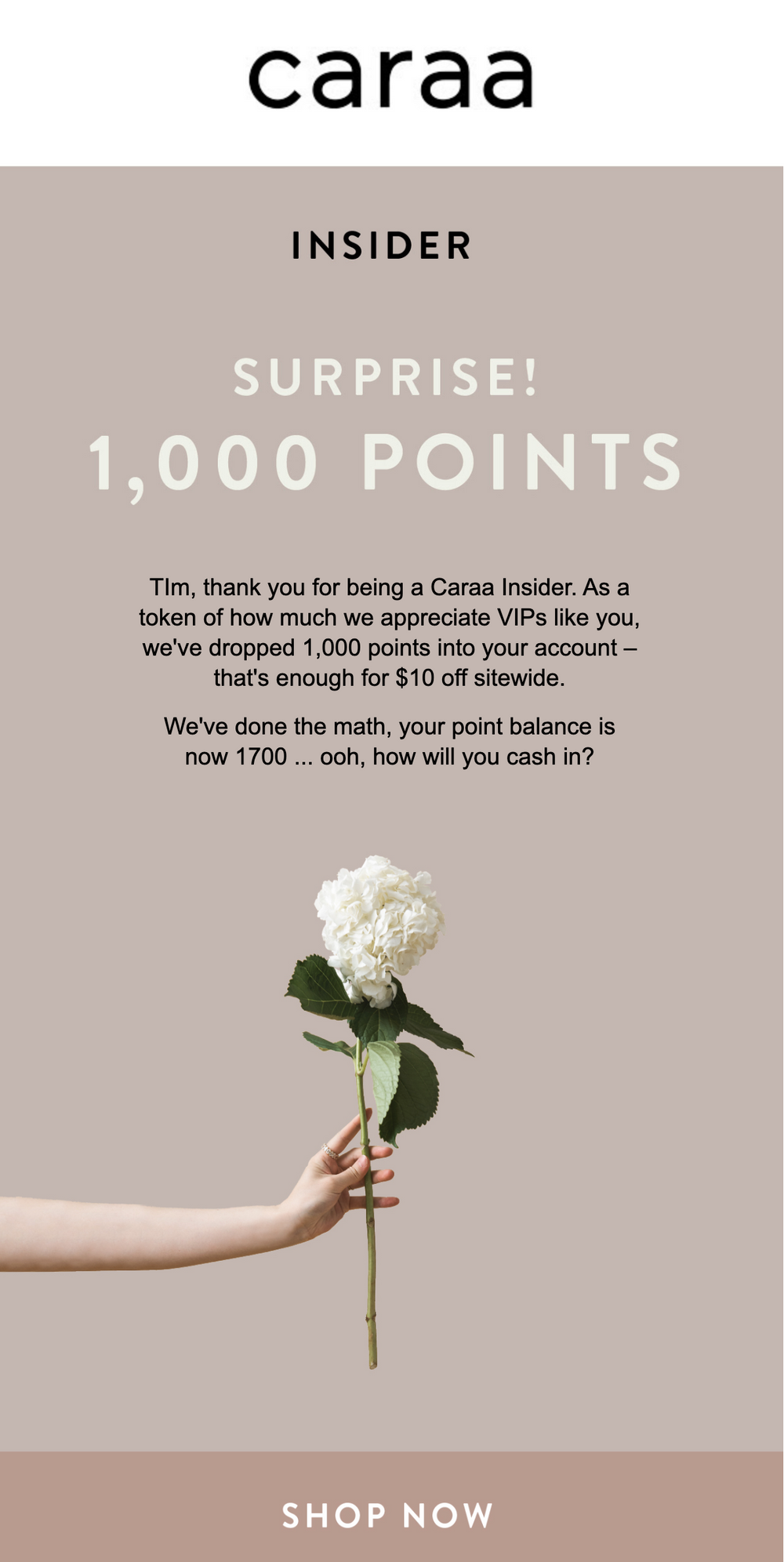 Caraa-bonus-points