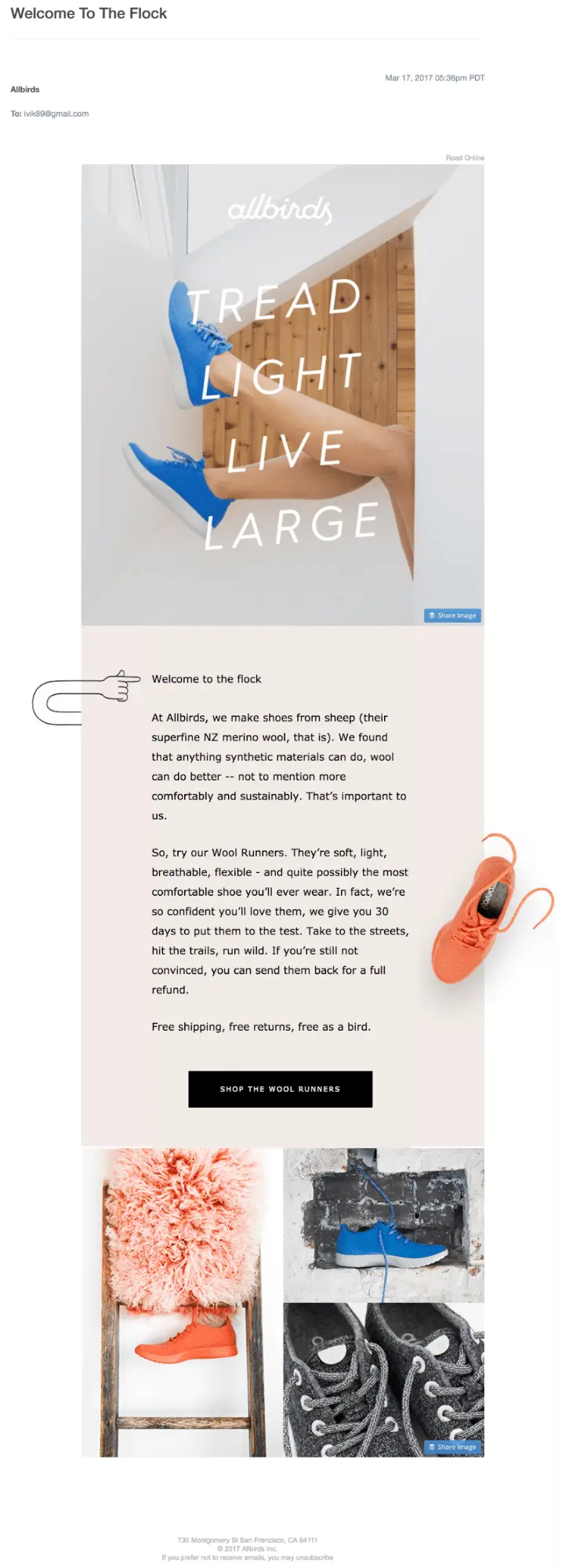 AllBirds-Email-Marketing-Company-Values