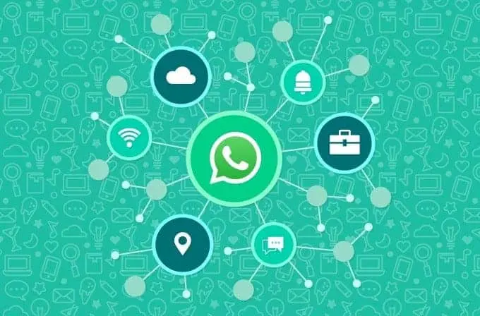 Types of Whatsapp Marketing - Netcore
