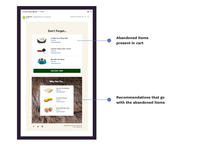 Abandoned cart emails with recommendations