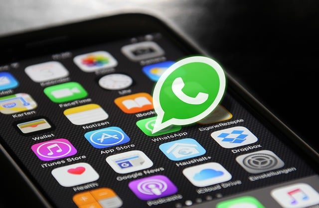 whatsapp, iphone, homescreen - Netcore