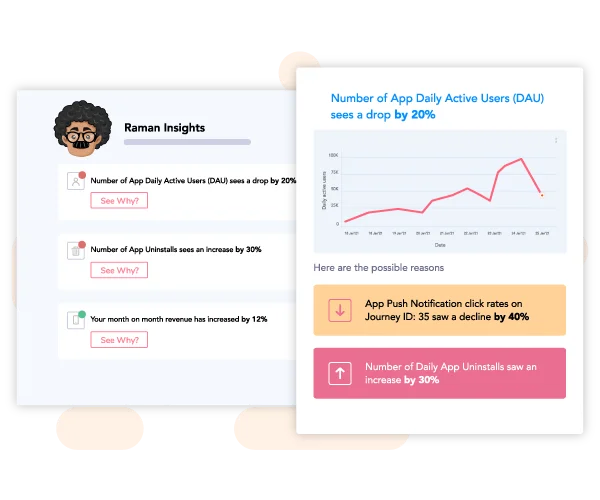 Raman - Insights - Dashboard - Netcore