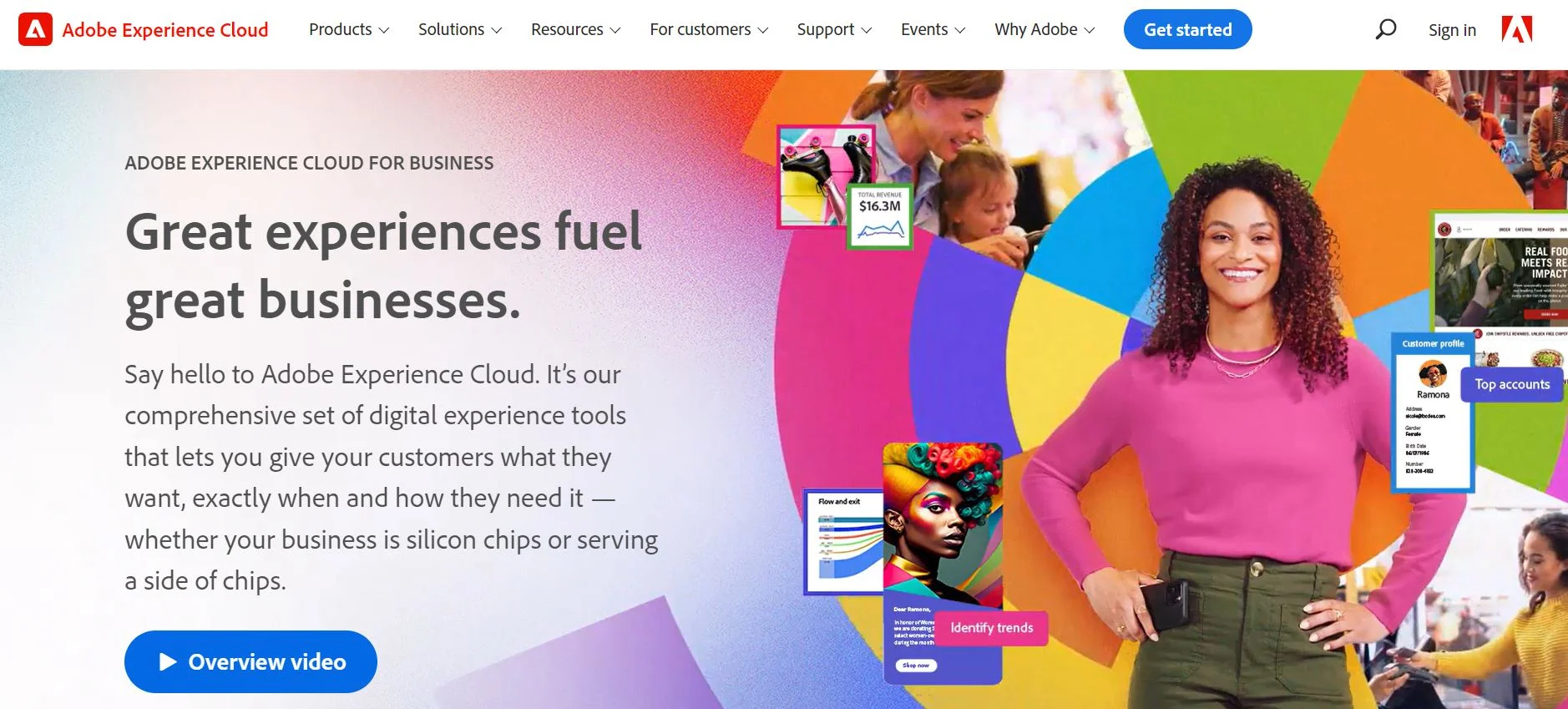 Adobe experience cloud platform - Netcore