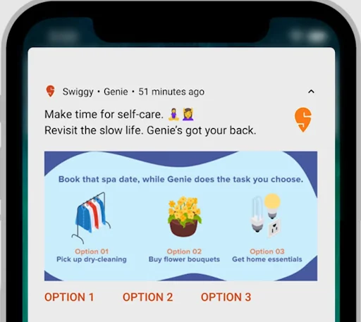 Picture perfect push notification - Netcore