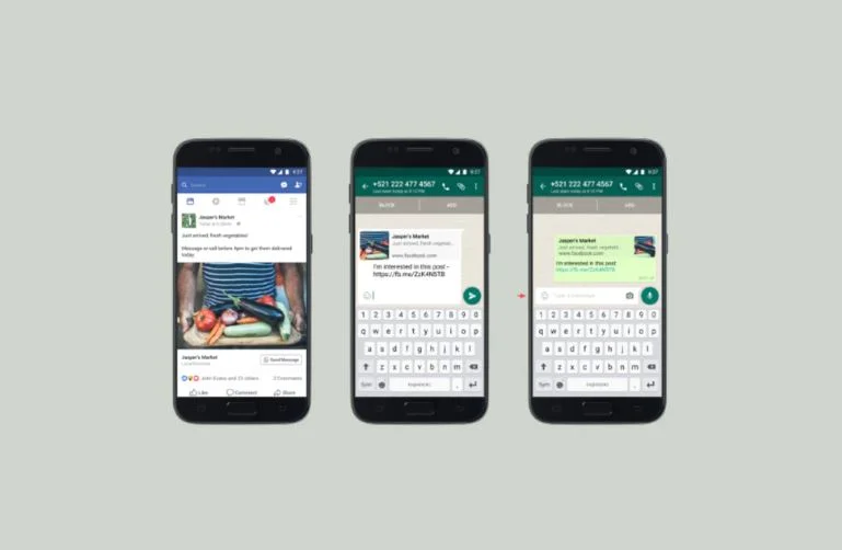 Whatsapp direct chat link - Netcore cloud