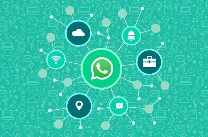 omnichannel whatsapp integration - Netcore