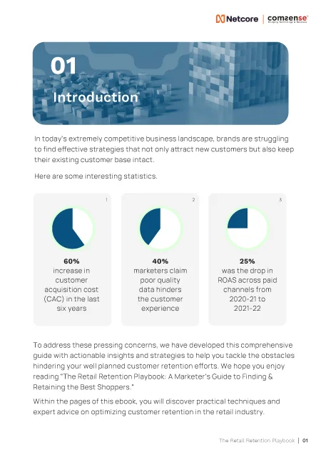 Retail Customer Retention page 2