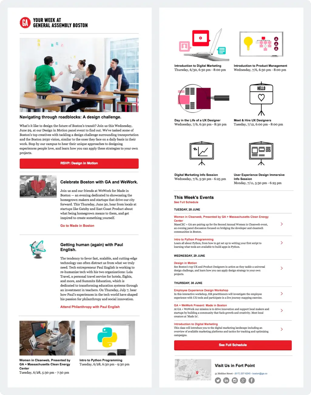 Email newsletter examples - Netcore