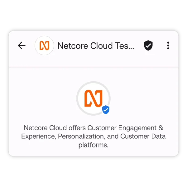 Send RCS SMS to engage your customer - Netcore
