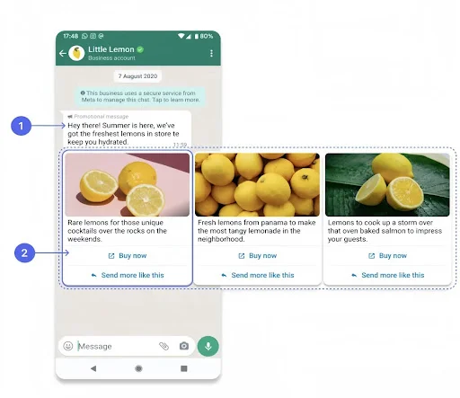Whatsapp carousel templates as whatsapp marketing strategies | Netcore