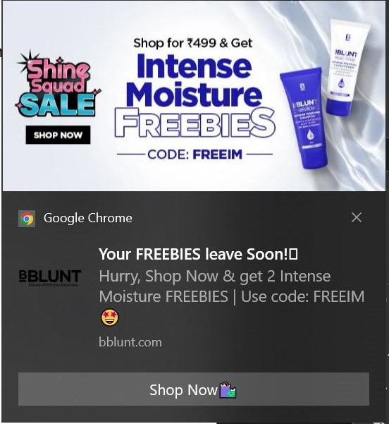 behavioural web push notification