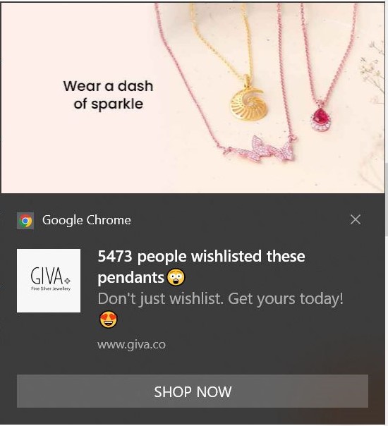 behaviour based web push notification