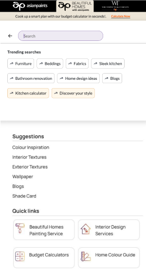 Asian Paints Services interface